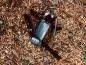 Preview: Bigrrr GBR Airsoft Grenade Spring System Preview: Bigrrr GBR Airsoft Grenade Spring System